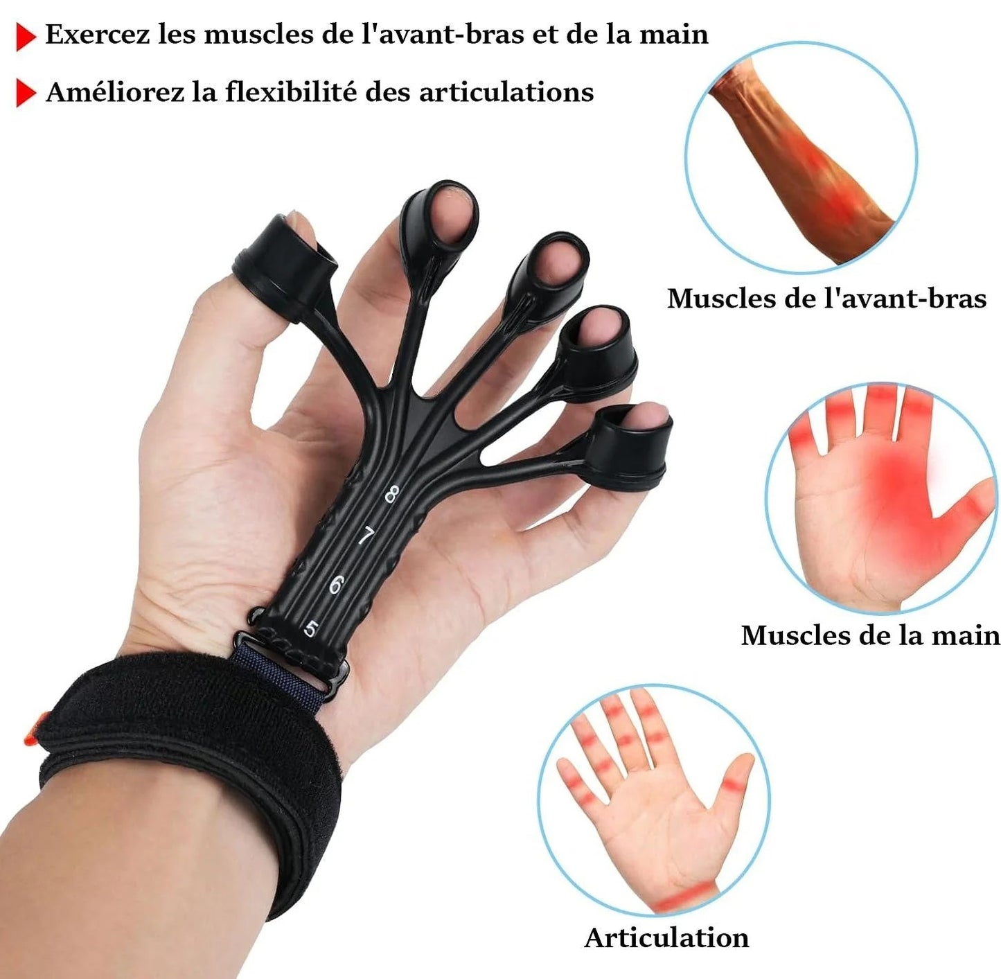 Exerciseur Avant-bras Original avec Adjustable Poignet Bande (2PCS)